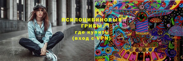 ешки Богданович